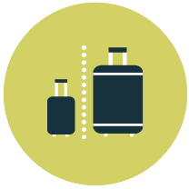 an illustration of a carry-on and checked baggage
