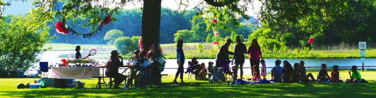 Family picnic celebration in the park