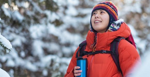 traveller in a winter landscape