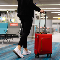 passenger with carry-on 